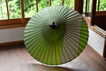 画像をギャラリービューアに読み込む, 蛇の目傘【縞帯 鶯×緑ストライプ】