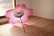 画像をギャラリービューアに読み込む, 即納|日傘【桜和傘ソメイヨシノ(麻の葉・七宝)】