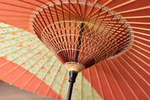 将图片加载到图库查看器,Janome雨伞【条纹粉色x花卉图案】