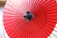 画像をギャラリービューアに読み込む, 蛇の目傘【月奴 赤×七夕】(軒黒)(木柄)