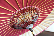 Cargar imagen en el visor de la galería, 日傘【月奴 ピンク×花柄】