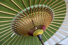 Cargar imagen en el visor de la galería, 日傘【月奴 鶯×花柄】