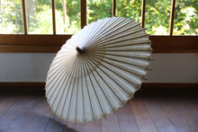 将图片加载到图库查看器,遮阳伞【双刷染柿汁】