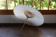 将图片加载到图库查看器,遮阳伞【双刷染柿汁】