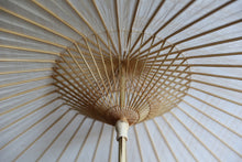 将图片加载到图库查看器,遮阳伞【双刷染柿汁】