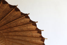 画像をギャラリービューアに読み込む, 日傘【網代 柿渋染(黒柿)】(ベージュ)(女竹)