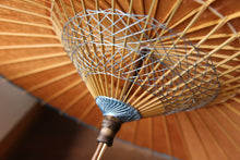 将图片加载到图库查看器,阳伞【双层水印图案“景泰蓝梅花纹”×柿子棕】