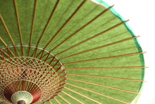 画像をギャラリービューアに読み込む, 日傘【月奴 緑×藍の葉】(軒ぼかし)