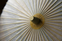 Cargar imagen en el visor de la galería, 日傘【二重張 胡粉×ぼかし染め(ブルーイエロー)】