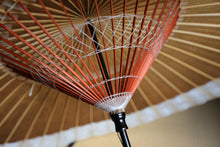 Load image into Gallery viewer, Janome Umbrella 【Kakishibu (black persimmon) × white gofun】 (gray)