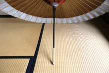 Load image into Gallery viewer, Janome Umbrella 【Kakishibu (black persimmon) × white gofun】 (gray)
