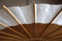 Load image into Gallery viewer, Janome Umbrella 【Kakishibu (black persimmon) × white gofun】 (gray)
