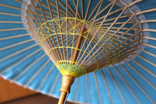 将图片加载到图库查看器,日傘【水色(軒カラフルB)】