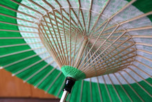 将图片加载到图库查看器,阳伞【花子景泰蓝 x 绿色】