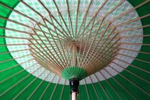 将图片加载到图库查看器,阳伞【花子景泰蓝 x 绿色】