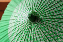 将图片加载到图库查看器,阳伞【花子景泰蓝 x 绿色】
