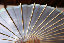 将图片加载到图库查看器,蛇の目傘【かすみ染め(ブルー系)】 (女竹)