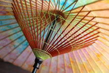将图片加载到图库查看器,Janome雨伞【多彩III】