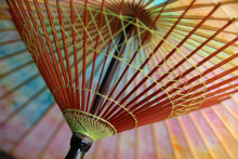 将图片加载到图库查看器,Janome雨伞【多彩III】