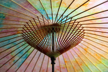 将图片加载到图库查看器,Janome雨伞【多彩III】