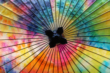 将图片加载到图库查看器,Janome雨伞【多彩IV】