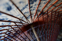 画像をギャラリービューアに読み込む, 蛇の目傘【ギャラクシー(赤骨)】 (女竹) - 和傘CASA