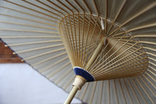 将图片加载到图库查看器,伞【云龙纸】