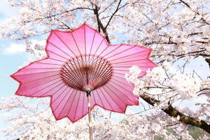 日傘【桜和傘】受注生産受付中 - 和傘CASA