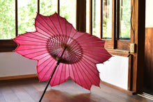 Cargar imagen en el visor de la galería, 日傘【桜和傘 レンタル】 - 和傘CASA