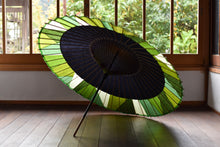 画像をギャラリービューアに読み込む, 蛇の目傘【軒奴 黒×切継(緑)】