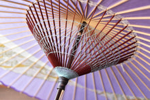 画像をギャラリービューアに読み込む, 蛇の目傘【交叉 ラベンダー×薫風(白)】