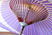 将图片加载到图库查看器,Janome雨伞【新月薰衣草】