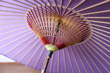 将图片加载到图库查看器,Janome 雨伞【纯色薰衣草色】
