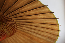 画像をギャラリービューアに読み込む, 蛇の目傘【柿渋染(黒柿)】(グリーン)