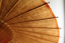 将图片加载到图库查看器,蛇の目傘【柿渋染(黒柿)】 - 和傘CASA