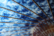 画像をギャラリービューアに読み込む, 蛇の目傘【ギャラクシー48】 - 和傘CASA