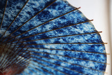 画像をギャラリービューアに読み込む, 蛇の目傘【ギャラクシー48】 - 和傘CASA