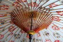 将图片加载到图库查看器,蛇の目傘【四君子アクアブルー】 - 和傘CASA