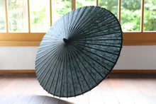 将图片加载到图库查看器,阳伞【黑云龙】