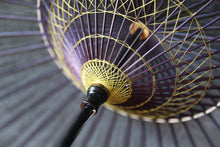 将图片加载到图库查看器,阳伞【黑云龙】