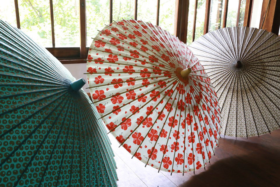 Clear Japanese Umbrellas With Traditional Art Motifs Pair