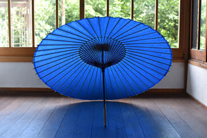Janome umbrella [plain blue]