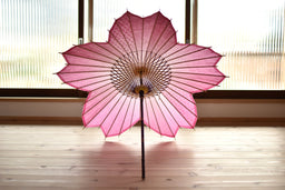 【超美品】和傘さくら imgrc0107940443.jpg