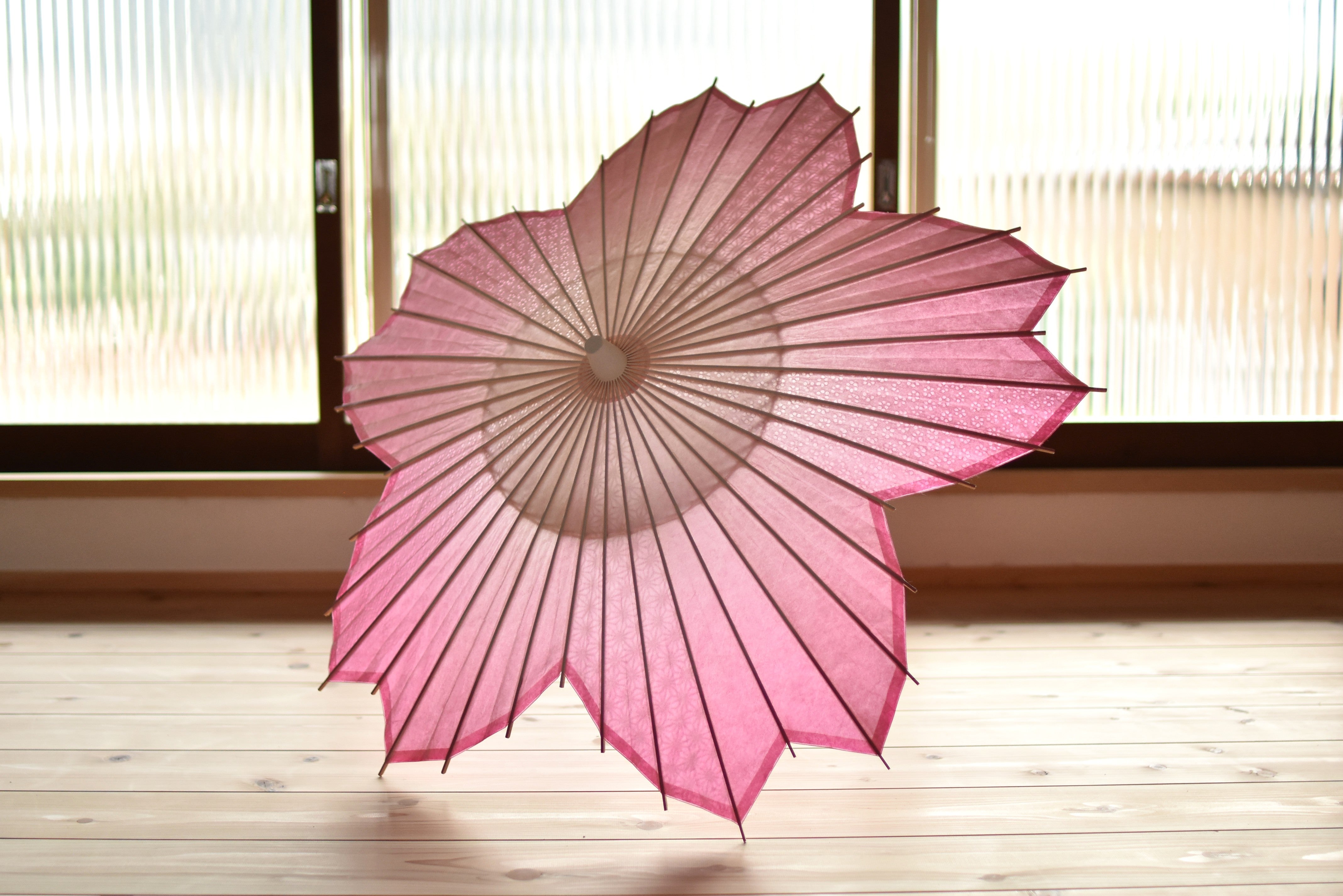即納｜日傘【桜和傘ソメイヨシノ（麻の葉・梅紋）】 – 和傘CASA