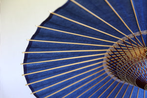 Janome Umbrella [Striped Belt, Navy Blue x Polka Dot]