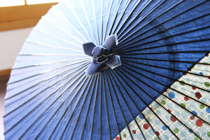 Janome Umbrella [Striped Belt, Navy Blue x Polka Dot]