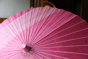 Parasol [Striped belt, pink x stripes]