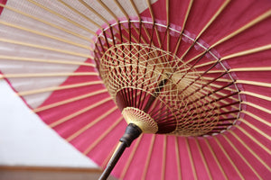 Parasol [Striped belt, pink x stripes]