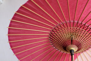 Parasol [Striped belt, pink x stripes]