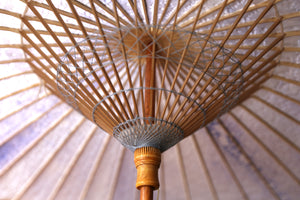 Parasol [double-layered light blue x fir paper blue shading]